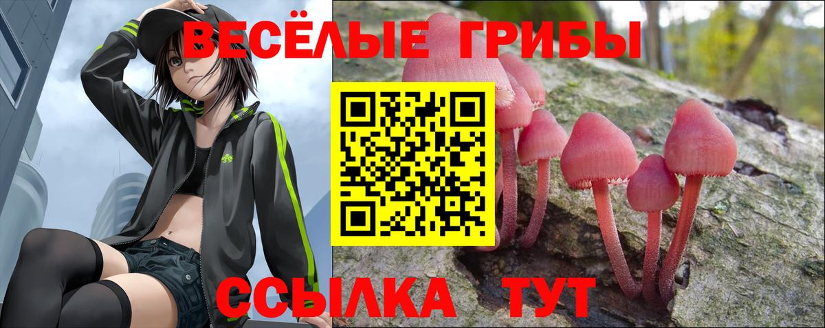 Галлюциногенные грибы Magic Shrooms Тобольск
