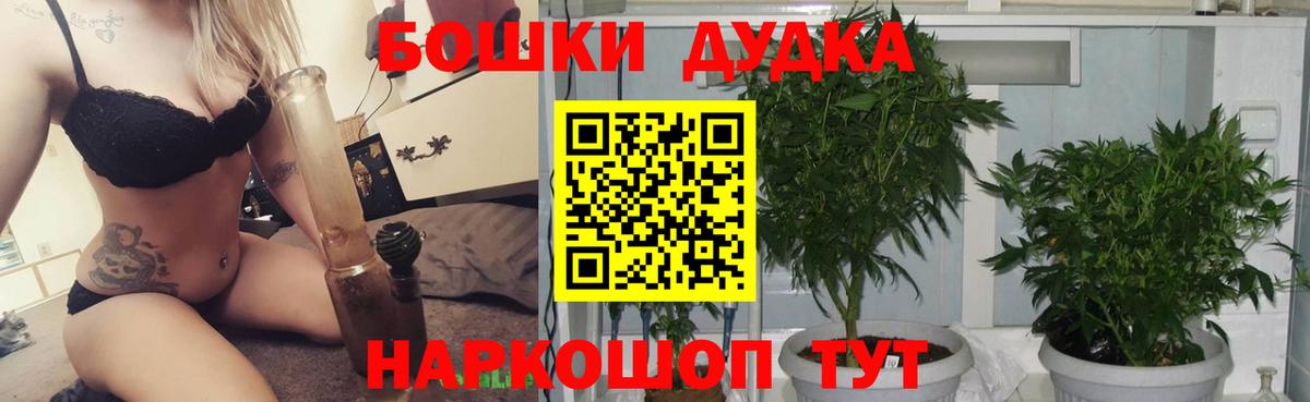 Марихуана план  Бошки Шишки сатива  Вход с VPN  Тобольск 